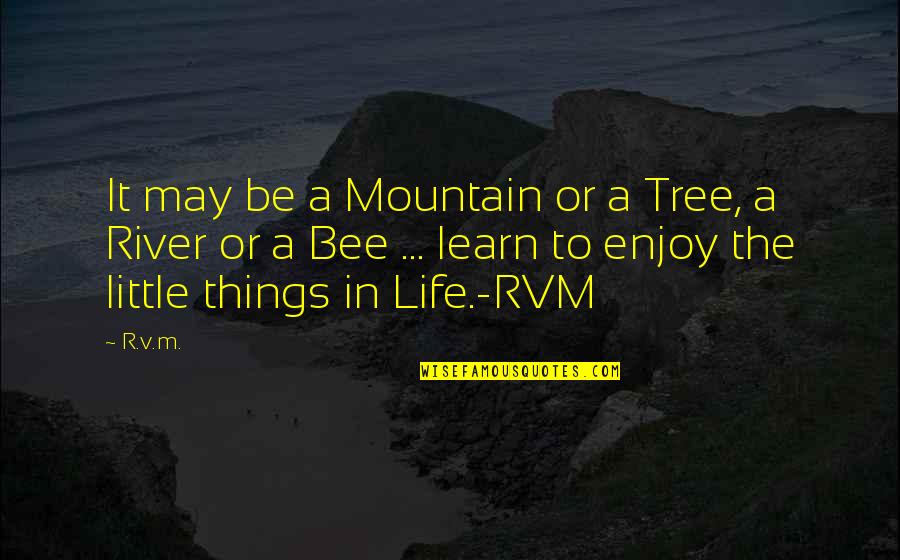 Enjoy The Best Things In Your Life Quotes By R.v.m.: It may be a Mountain or a Tree,
