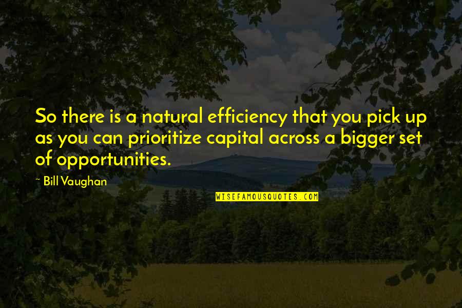 Enjoy The Journey Not The Destination Quotes By Bill Vaughan: So there is a natural efficiency that you
