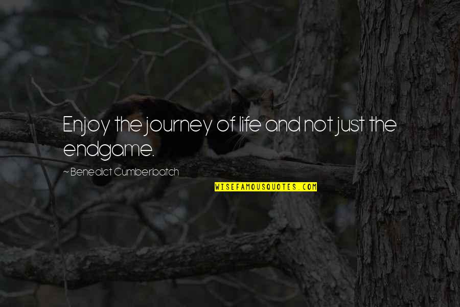 Enjoy The Journey Quotes By Benedict Cumberbatch: Enjoy the journey of life and not just