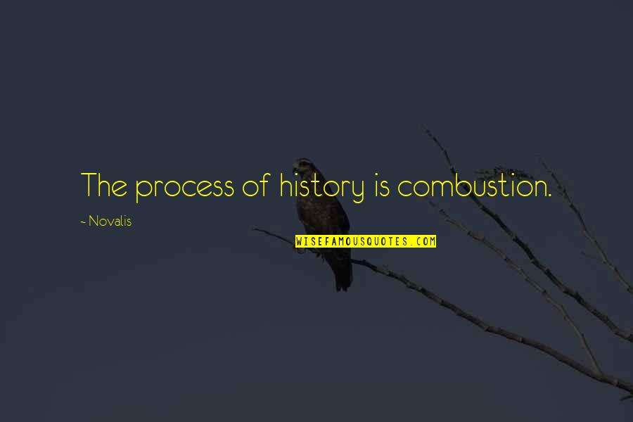 Enjoy The Little Moments Quotes By Novalis: The process of history is combustion.