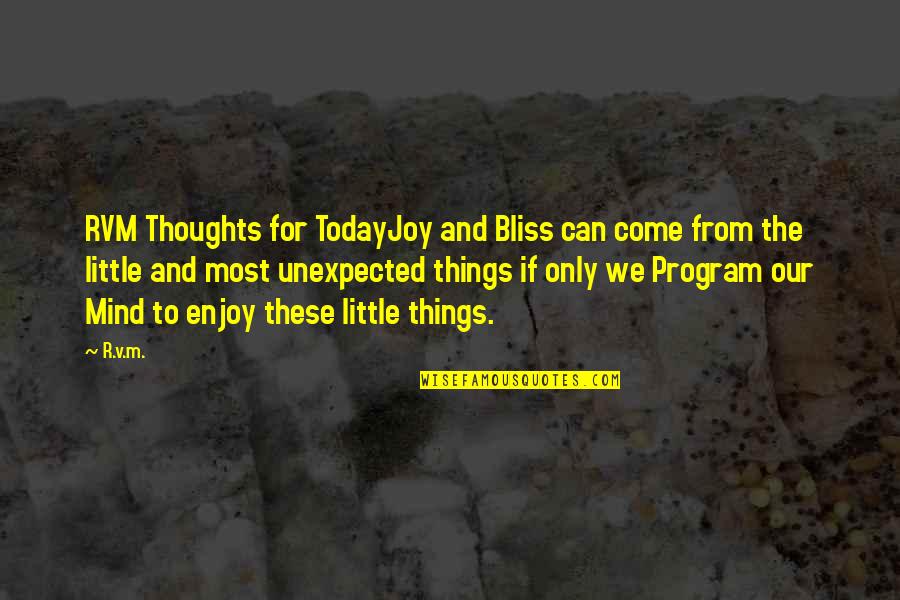 Enjoy The Little Things In Life Quotes By R.v.m.: RVM Thoughts for TodayJoy and Bliss can come Enjoy The Little Things In Life Quotes By R.v.m.: RVM Thoughts for TodayJoy and Bliss can come