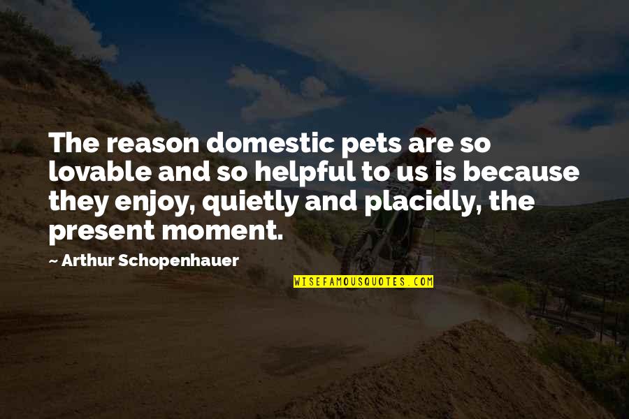 Enjoy The Present Moment Quotes By Arthur Schopenhauer: The reason domestic pets are so lovable and Enjoy The Present Moment Quotes By Arthur Schopenhauer: The reason domestic pets are so lovable and