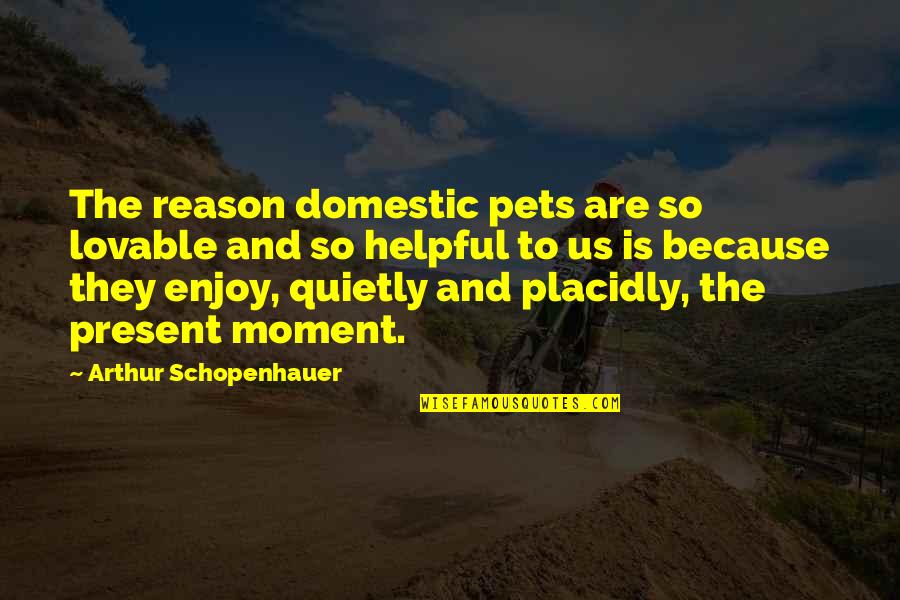 Enjoy The Present Quotes By Arthur Schopenhauer: The reason domestic pets are so lovable and