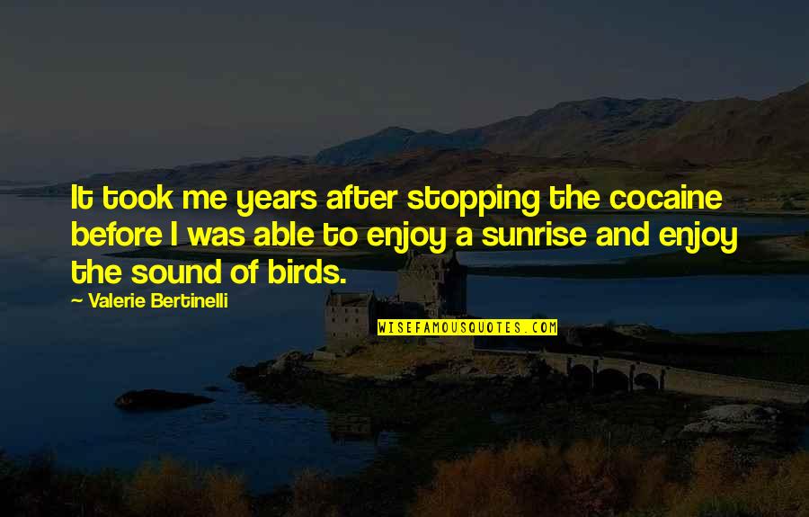 Enjoy The Sunrise Quotes By Valerie Bertinelli: It took me years after stopping the cocaine