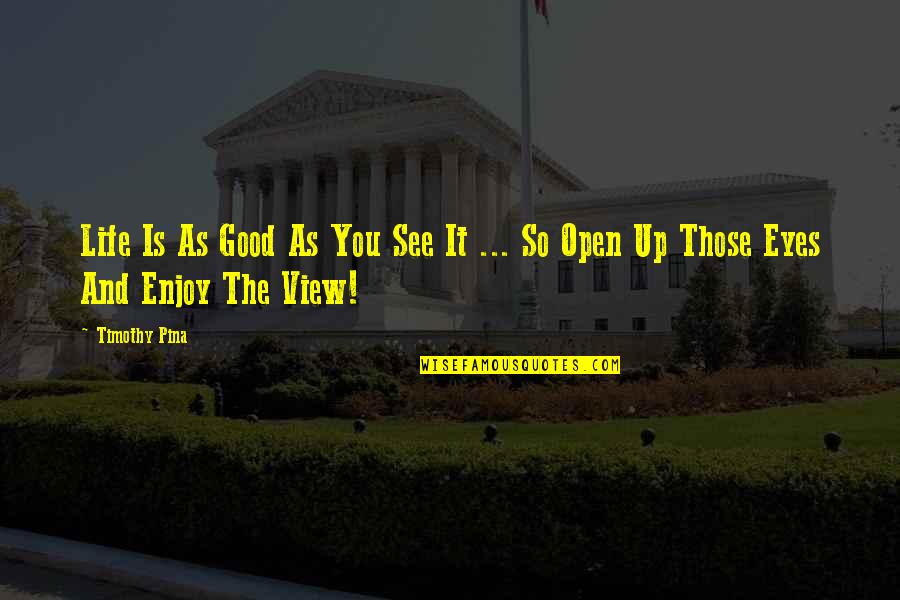 Enjoy The View Quotes By Timothy Pina: Life Is As Good As You See It