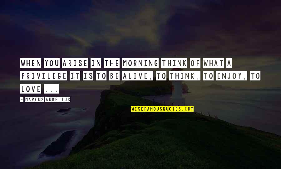 Enjoy Your Day Inspirational Quotes By Marcus Aurelius: When you arise in the morning think of