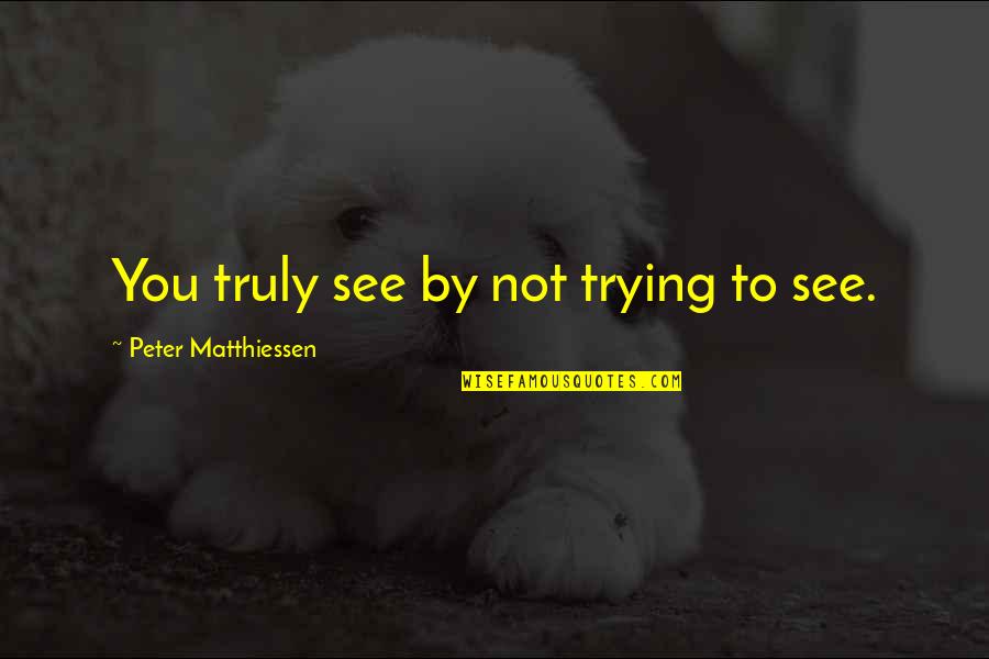 Enjoy Your Life Picture Quotes By Peter Matthiessen: You truly see by not trying to see.