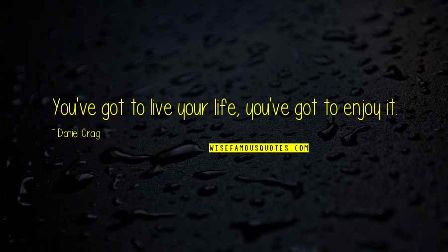 Enjoy Your Life Quotes By Daniel Craig: You've got to live your life, you've got