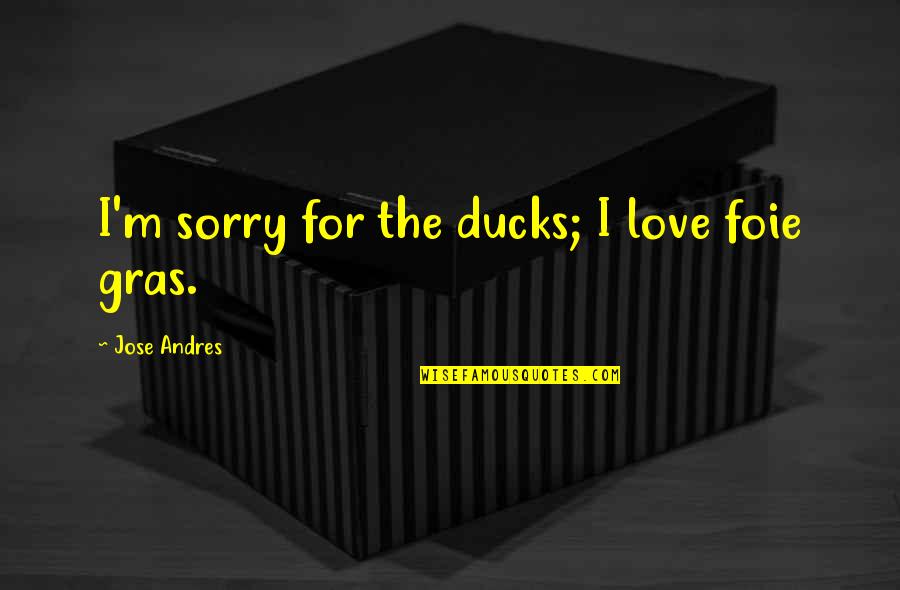Enjoy Your Single Life Quotes By Jose Andres: I'm sorry for the ducks; I love foie