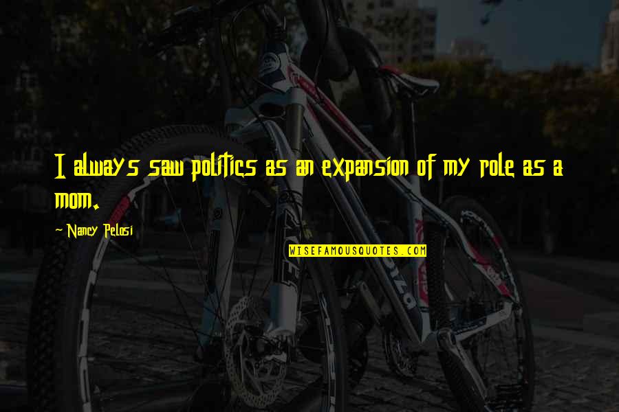 Enjoyable Journey Quotes By Nancy Pelosi: I always saw politics as an expansion of