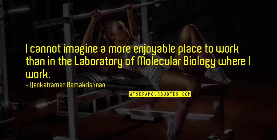 Enjoyable Quotes By Venkatraman Ramakrishnan: I cannot imagine a more enjoyable place to