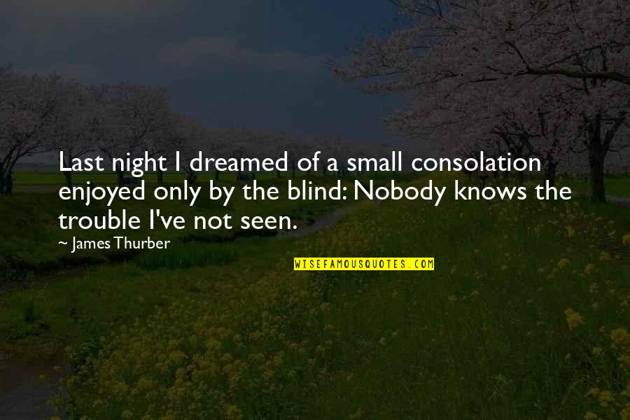 Enjoyed Last Night Quotes By James Thurber: Last night I dreamed of a small consolation
