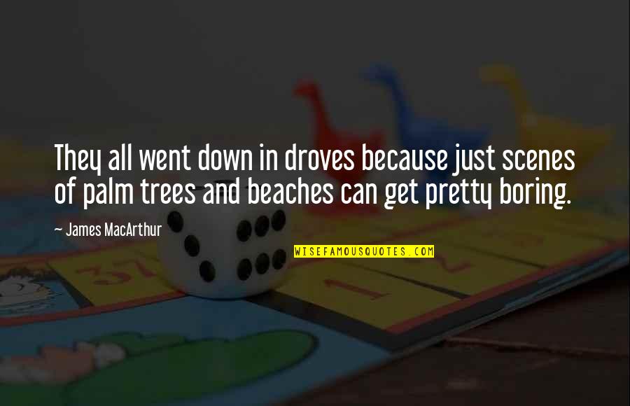 Enjoyed Meeting You Quotes By James MacArthur: They all went down in droves because just Enjoyed Meeting You Quotes By James MacArthur: They all went down in droves because just