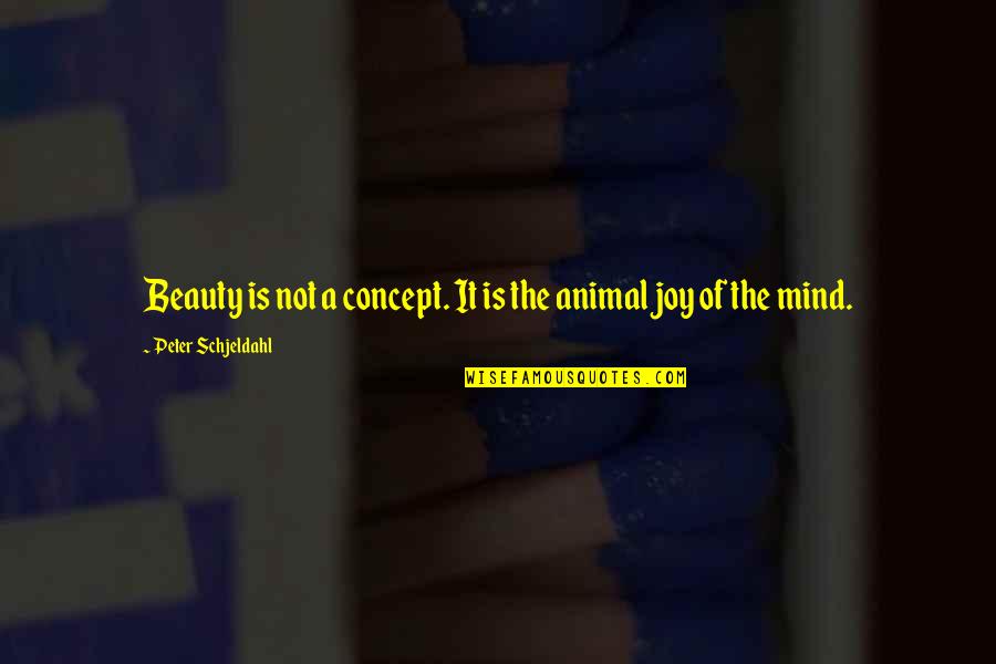 Enjoyed My Day Quotes By Peter Schjeldahl: Beauty is not a concept. It is the