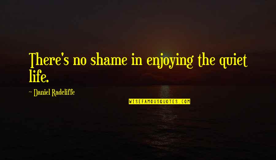 Enjoying Life Quotes By Daniel Radcliffe: There's no shame in enjoying the quiet life.