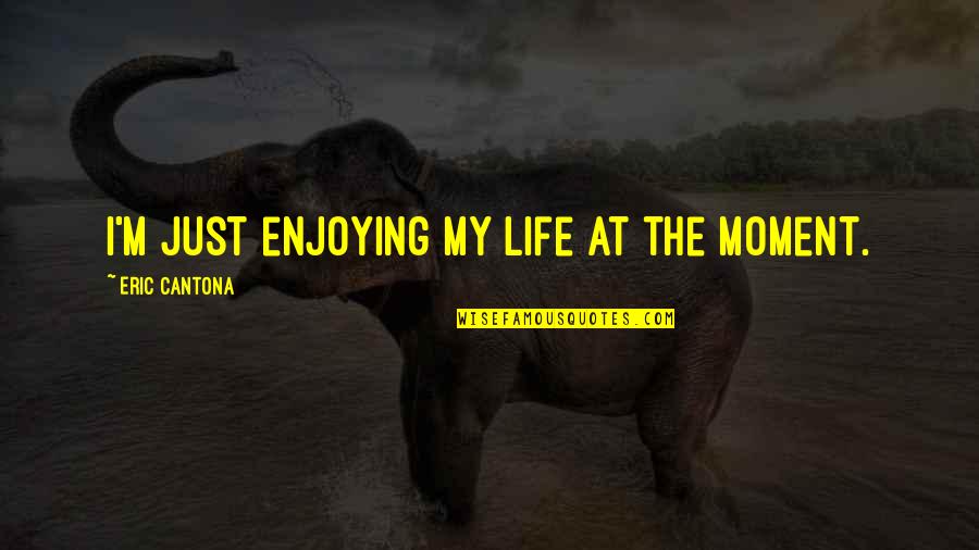 Enjoying Life Quotes By Eric Cantona: I'm just enjoying my life at the moment.