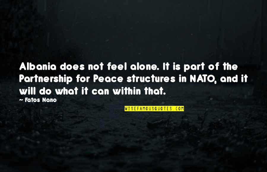 Enjoying Rainy Weather Quotes By Fatos Nano: Albania does not feel alone. It is part