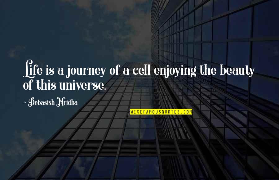Enjoying The Beauty Of Life Quotes By Debasish Mridha: Life is a journey of a cell enjoying