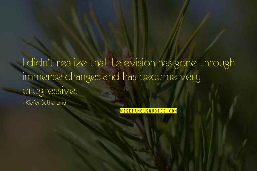 Enjoying The Moments We Are Given Quotes By Kiefer Sutherland: I didn't realize that television has gone through