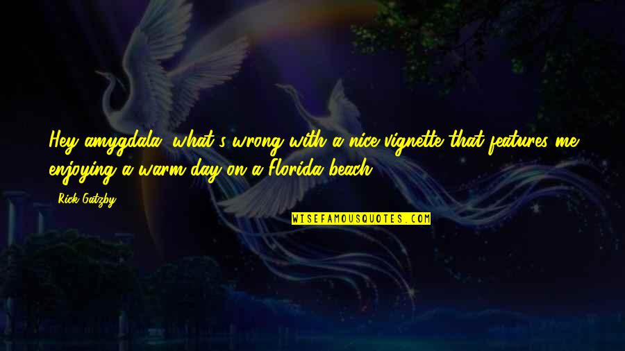 Enjoying Your Day Quotes By Rick Gatzby: Hey amygdala, what's wrong with a nice vignette