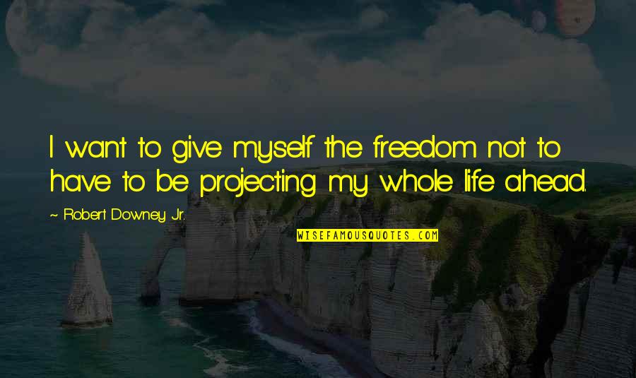 Enjoying Your Friends Quotes By Robert Downey Jr.: I want to give myself the freedom not