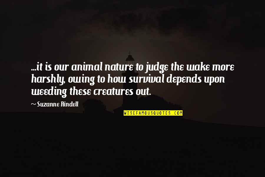 Enjoying Your Vacation Quotes By Suzanne Rindell: ...it is our animal nature to judge the Enjoying Your Vacation Quotes By Suzanne Rindell: ...it is our animal nature to judge the