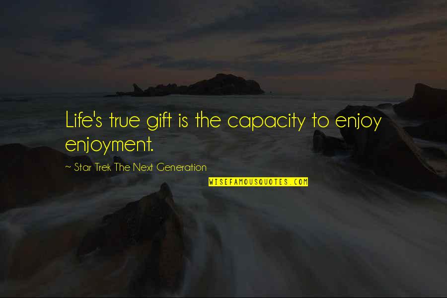 Enjoyment In Life Quotes By Star Trek The Next Generation: Life's true gift is the capacity to enjoy