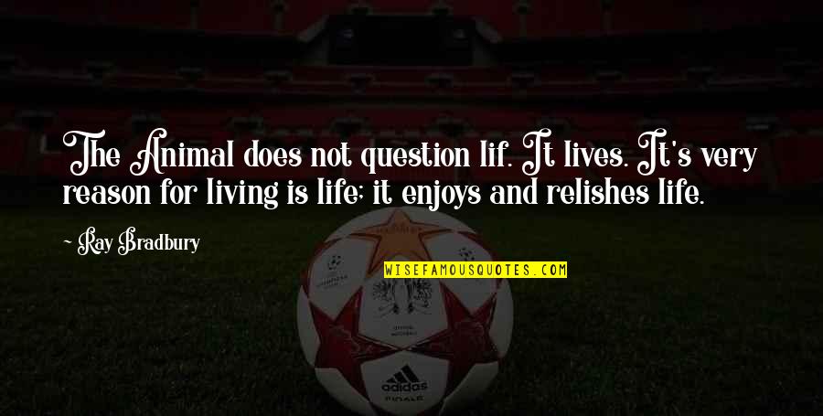 Enjoys Life Quotes By Ray Bradbury: The Animal does not question lif. It lives.