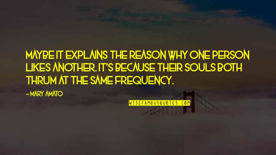 Enjuto Significado Quotes By Mary Amato: Maybe it explains the reason why one person