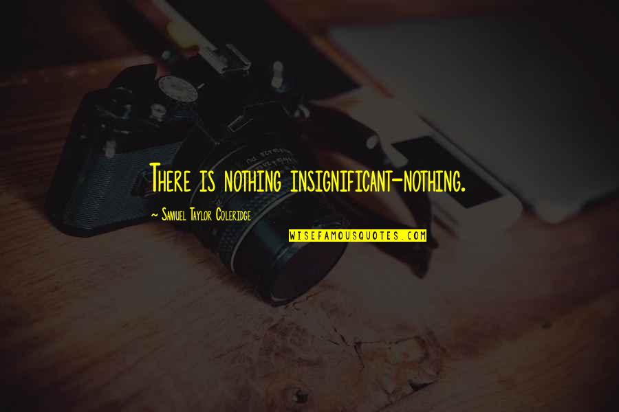Enkelten Quotes By Samuel Taylor Coleridge: There is nothing insignificant-nothing. Enkelten Quotes By Samuel Taylor Coleridge: There is nothing insignificant-nothing.