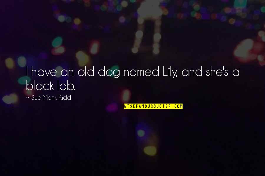 Enlazar Quotes By Sue Monk Kidd: I have an old dog named Lily, and Enlazar Quotes By Sue Monk Kidd: I have an old dog named Lily, and