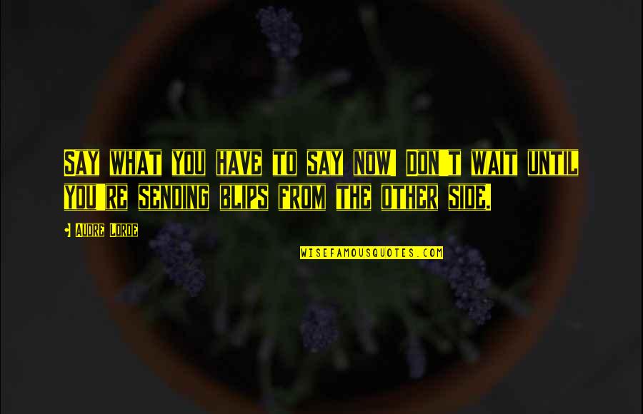 Enlighten My Heart Quotes By Audre Lorde: Say what you have to say now! Don't Enlighten My Heart Quotes By Audre Lorde: Say what you have to say now! Don't