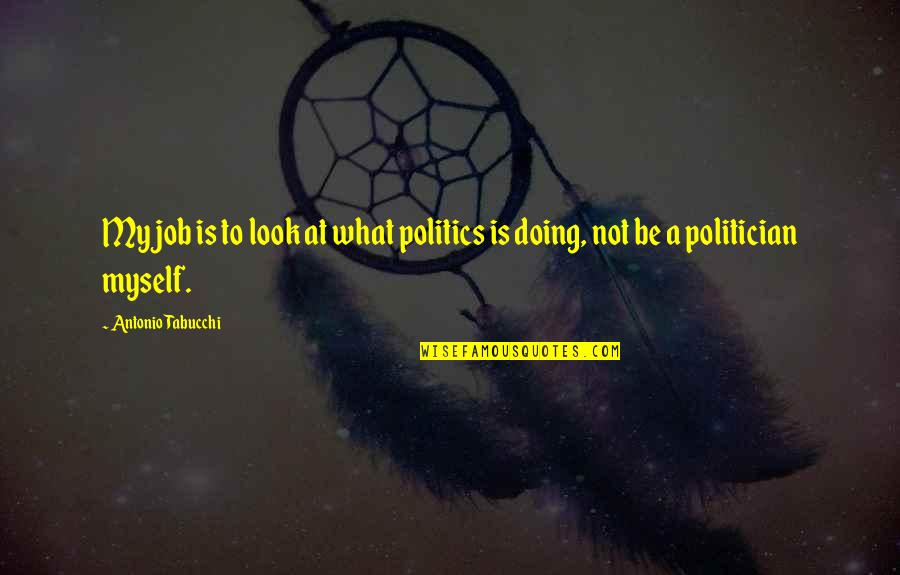 Enlightened Soul Quotes By Antonio Tabucchi: My job is to look at what politics
