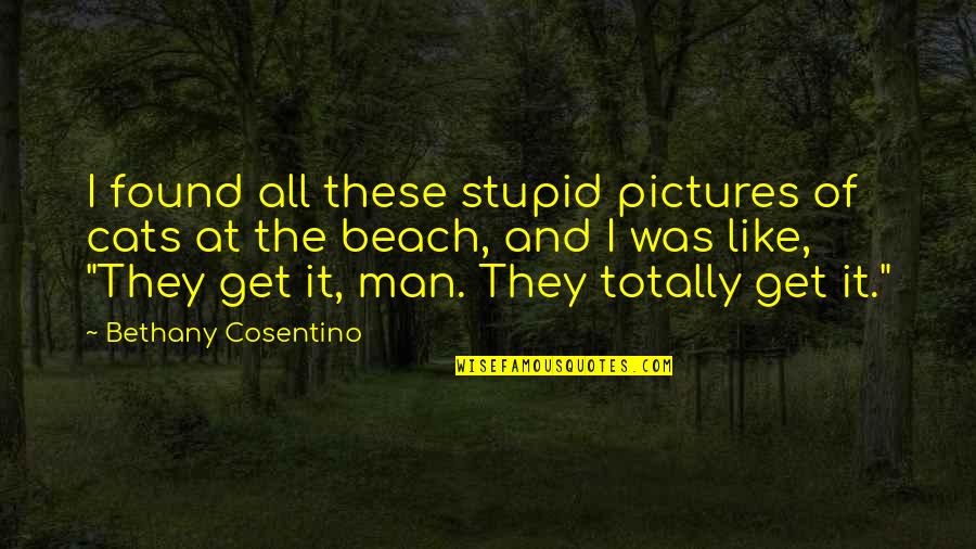 Enlightlens Quotes By Bethany Cosentino: I found all these stupid pictures of cats Enlightlens Quotes By Bethany Cosentino: I found all these stupid pictures of cats