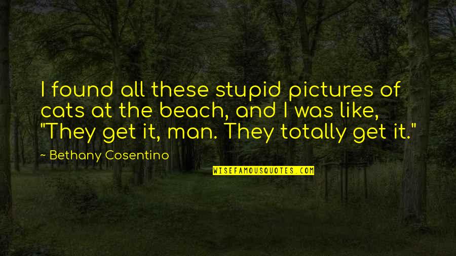 Enlightlens Quotes By Bethany Cosentino: I found all these stupid pictures of cats