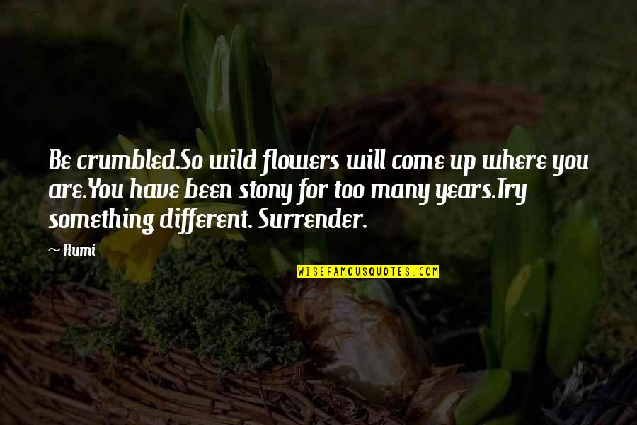 Enlisted To Officer Quotes By Rumi: Be crumbled.So wild flowers will come up where Enlisted To Officer Quotes By Rumi: Be crumbled.So wild flowers will come up where