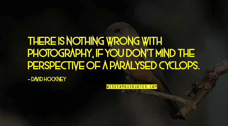 Enloquecer Definicion Quotes By David Hockney: There is nothing wrong with photography, if you