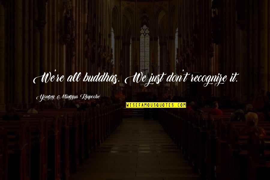 Enloqueciendo A Pies Quotes By Yongey Mingyur Rinpoche: We're all buddhas. We just don't recognize it. Enloqueciendo A Pies Quotes By Yongey Mingyur Rinpoche: We're all buddhas. We just don't recognize it.