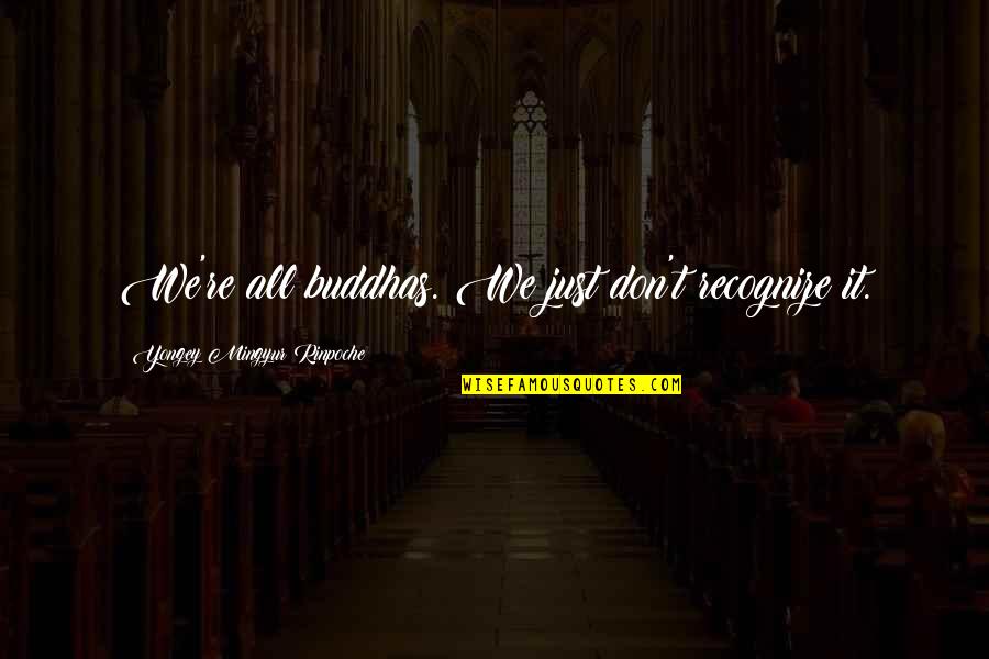 Enloqueciendo A Pies Quotes By Yongey Mingyur Rinpoche: We're all buddhas. We just don't recognize it.