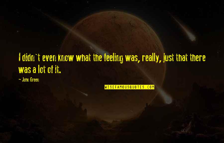 Enmeshment Quotes By John Green: I didn't even know what the feeling was,