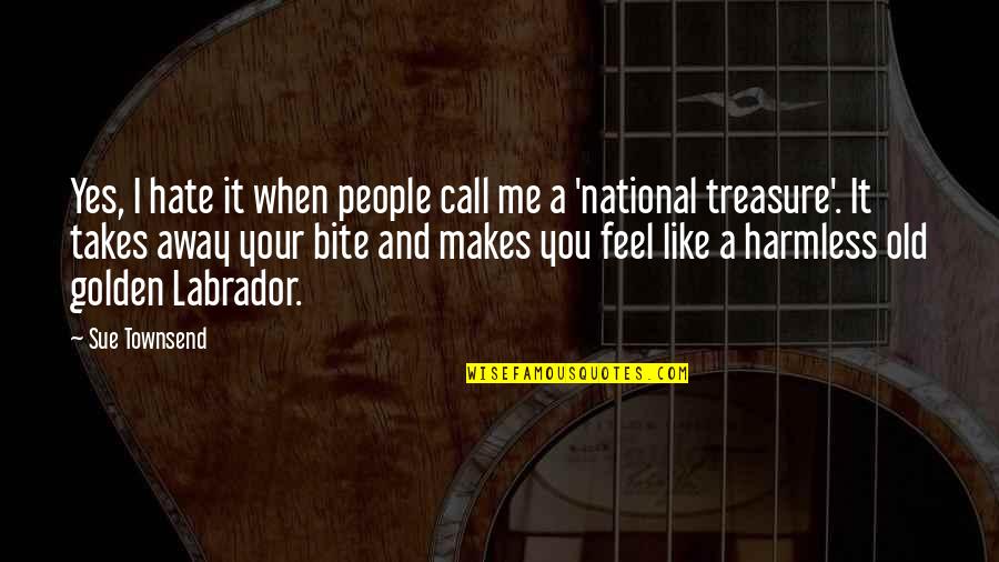 Ennetsu Quotes By Sue Townsend: Yes, I hate it when people call me