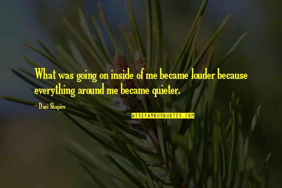 Ennistymon Quotes By Dani Shapiro: What was going on inside of me became