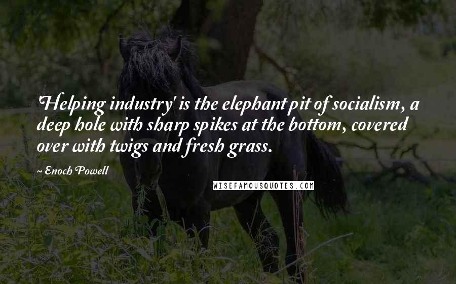 Enoch Powell quotes: 'Helping industry' is the elephant pit of socialism, a deep hole with sharp spikes at the bottom, covered over with twigs and fresh grass.
