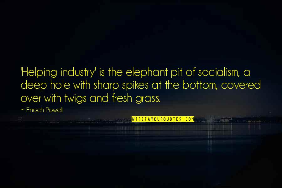 Enoch Powell Quotes By Enoch Powell: 'Helping industry' is the elephant pit of socialism,