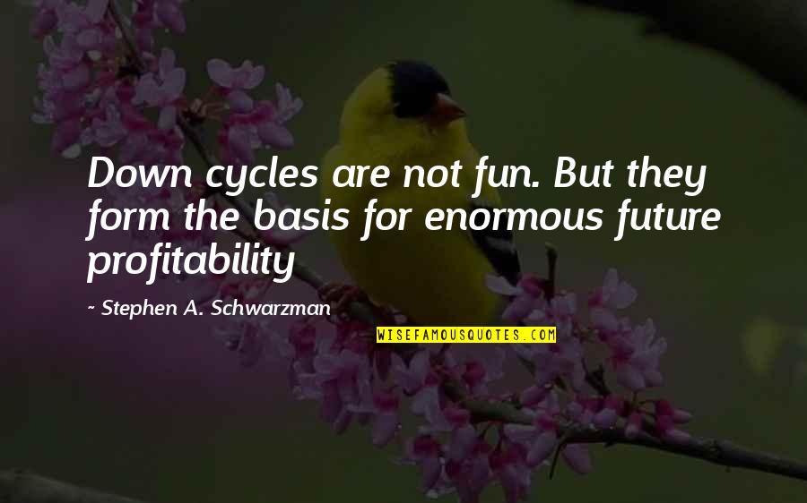 Enormous Quotes By Stephen A. Schwarzman: Down cycles are not fun. But they form