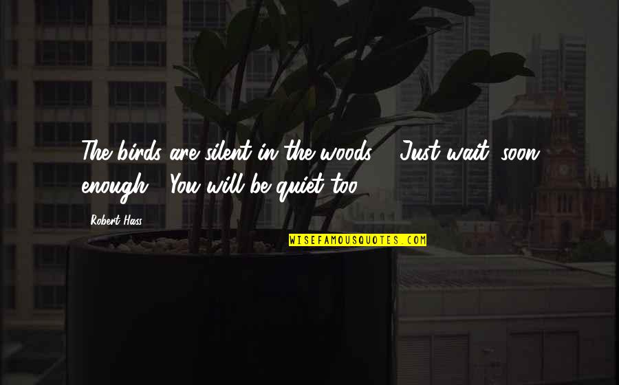 Enough Of Waiting Quotes By Robert Hass: The birds are silent in the woods. /