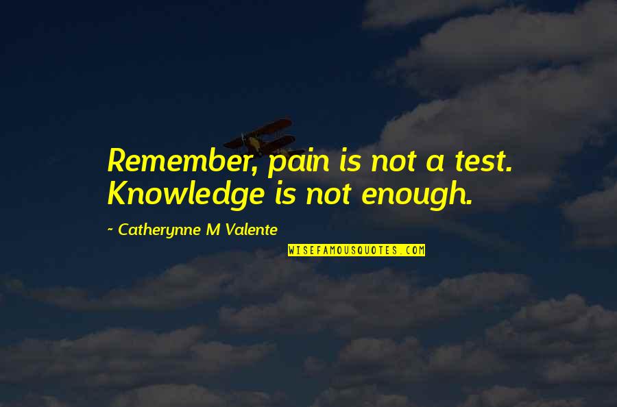 Enough Pain Quotes By Catherynne M Valente: Remember, pain is not a test. Knowledge is