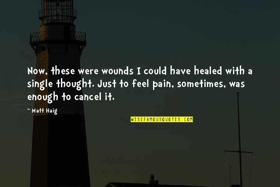 Enough Pain Quotes By Matt Haig: Now, these were wounds I could have healed