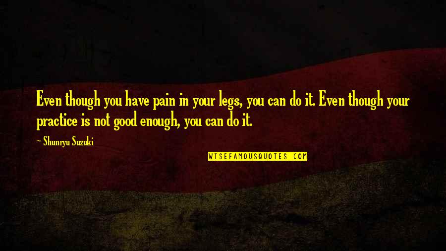 Enough Pain Quotes By Shunryu Suzuki: Even though you have pain in your legs,