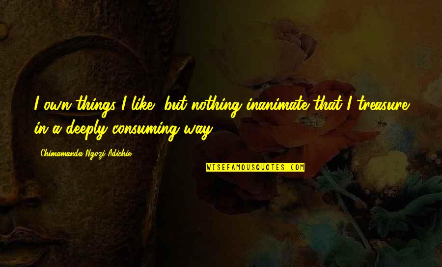 Enraging Quotes By Chimamanda Ngozi Adichie: I own things I like, but nothing inanimate